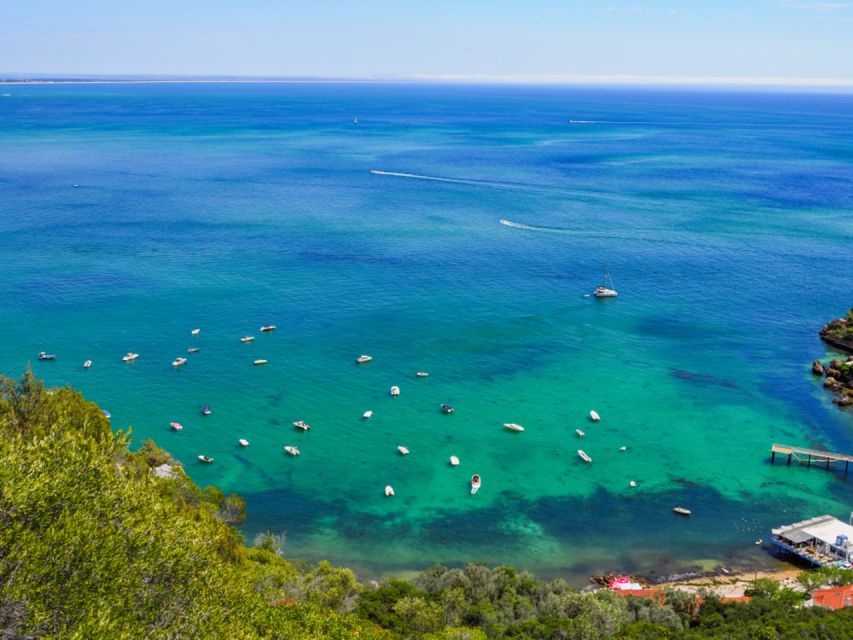 Full-Day Private Tour in Arrábida With Wine Tour From Lisbon - Setúbal District