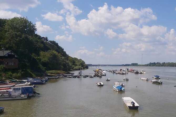 Full-Day Private Tour in Belgrade City - Included Activities