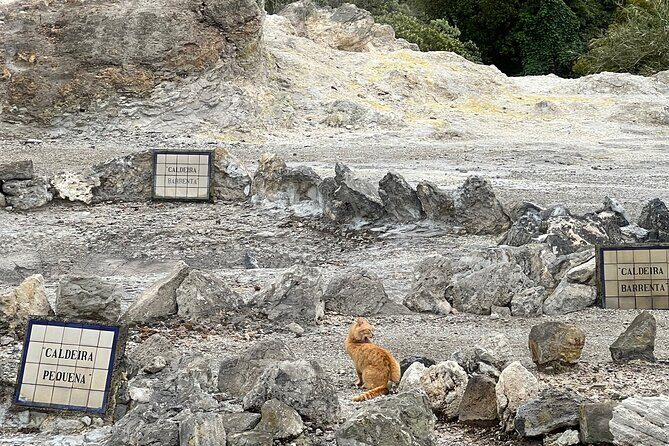 Full Day Private Tour in Furnas Valley Breath of the volcano - Who Will Love This Tour?