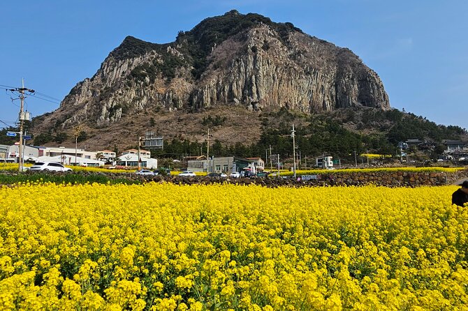 Full-Day Private Tour in Jeju Island - Traveler Preferences