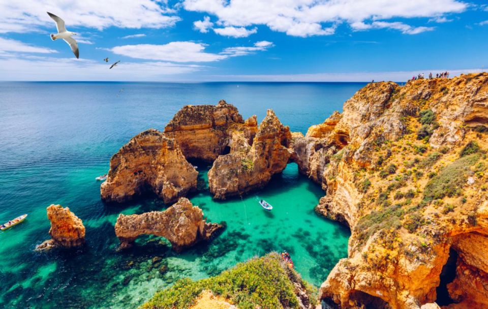 Full-Day Private Tour in Lagos and Benangil From Lisbon - Languages and Experience