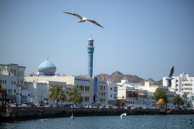 Full Day Private Tour in Muscat - Visitor Experiences