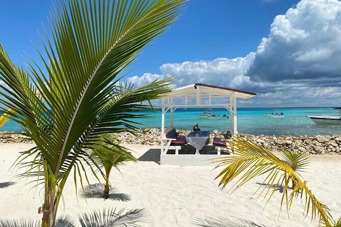Full Day Private Tour of Bayahibe, Cotubanamá and Saona Island - Practical Tips and Considerations