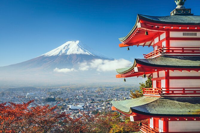 Full Day Private Tour of Mt Fuji and Hakone - Inclusions