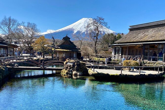 Full Day Private Tour of Mt Fuji and Hakone - Booking Information