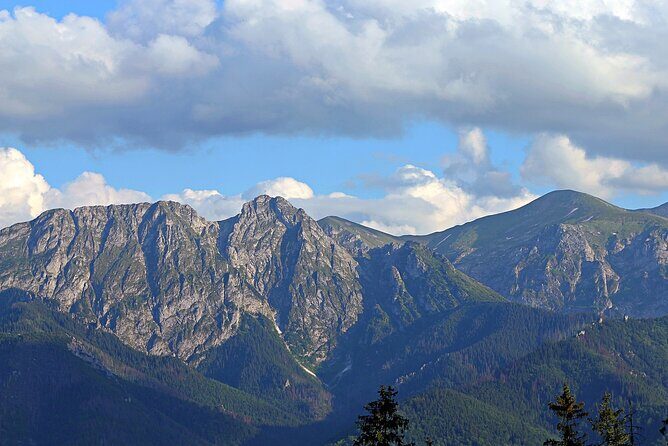 Full-Day Private Tour of Slovakia Treetop Walk and Zakopane - Who This Tour Is Best For