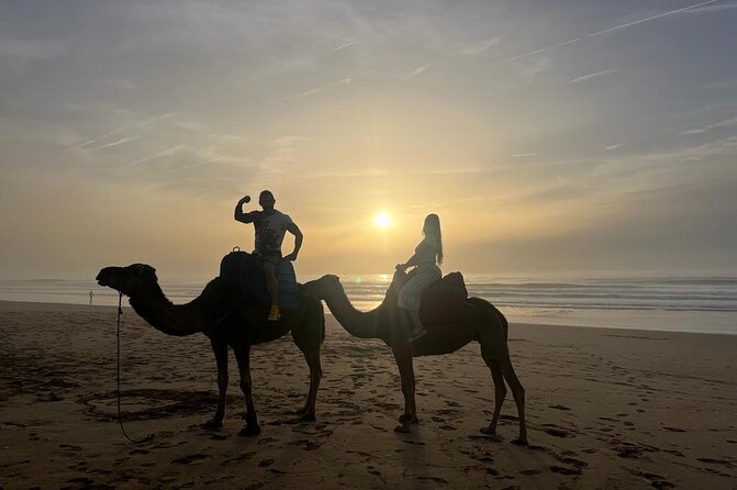Full Day Private Tour of Tangier - Additional Tour Details