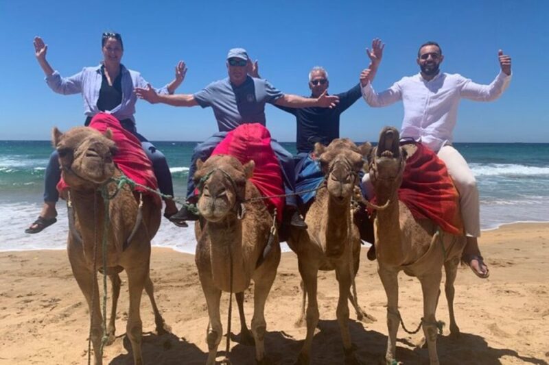 Full Day Private Tour of Tangier - Bab Kasbah and Kasbah Museum