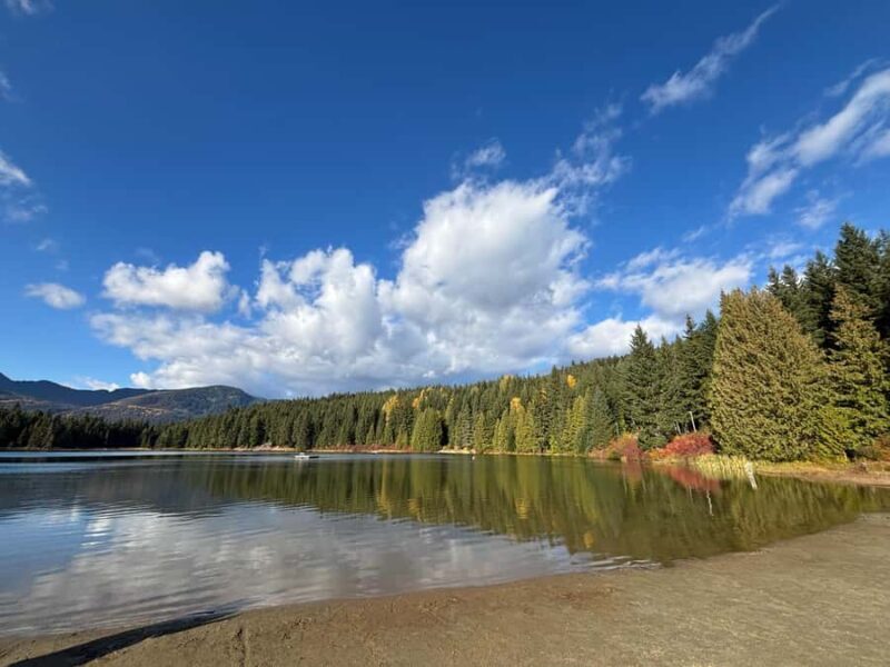 Full Day Private Tour of Whistler & Shannon Falls. - Key Points