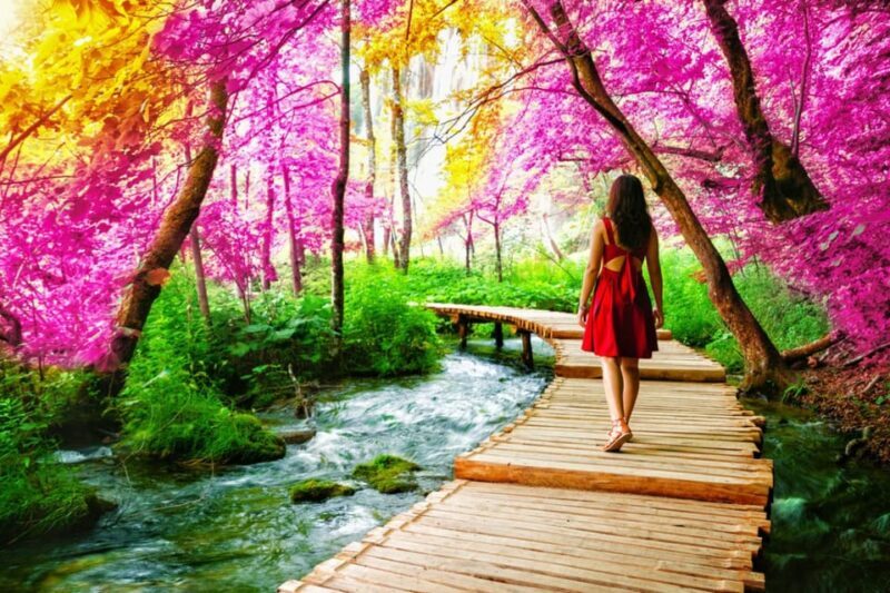 Full Day Private Tour: Plitvice Lakes & Rastoke from Zagreb - Who Will Love This Tour?
