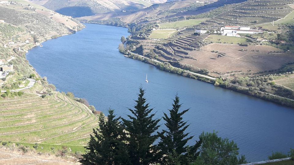 Full-Day Private Tour (Porto City + Douro Valley) - Key Points