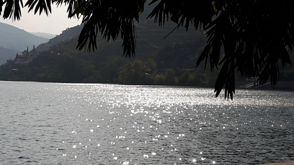 Full-Day Private Tour (Porto City + Douro Valley) - Tour Highlights