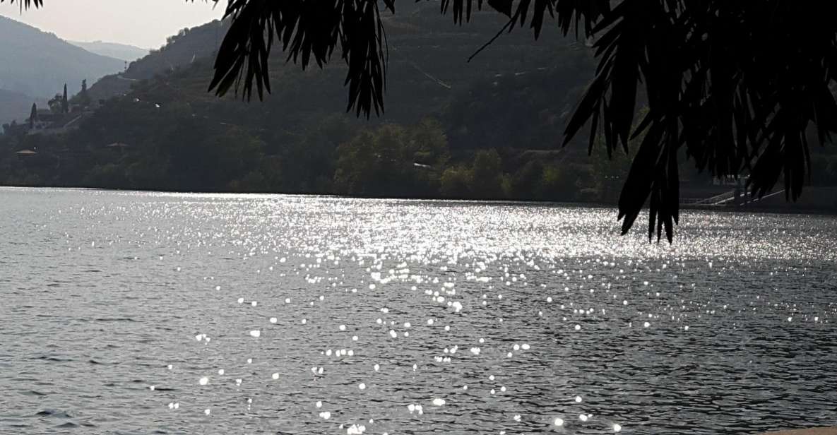 Full-Day Private Tour (Porto City + Douro Valley) - Cancellation Policy