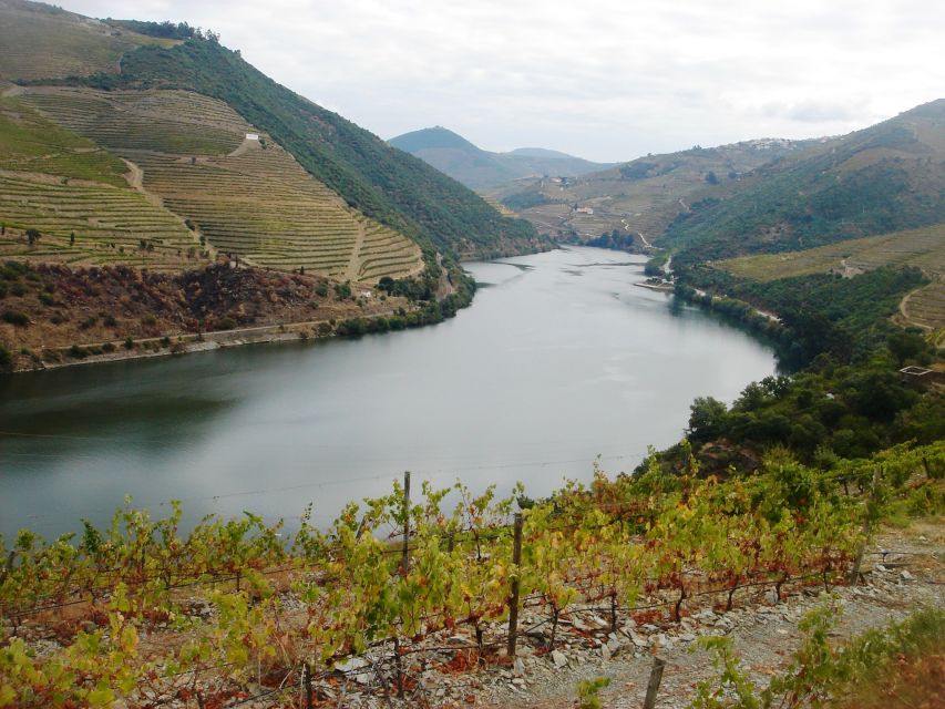 Full-Day Private Tour (Porto City + Douro Valley) - Additional Information