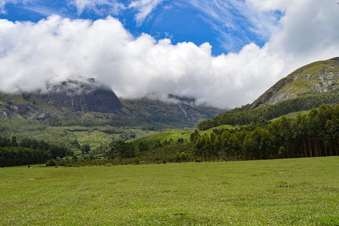 Full-Day Private Tour to Munnar From Kochi With Lunch - Good To Know