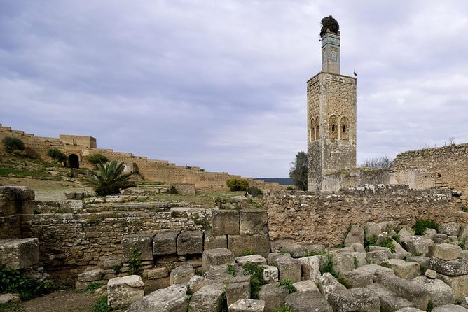 Full-Day Private Tour to Rabat From Casablanca - Attractions and Activities