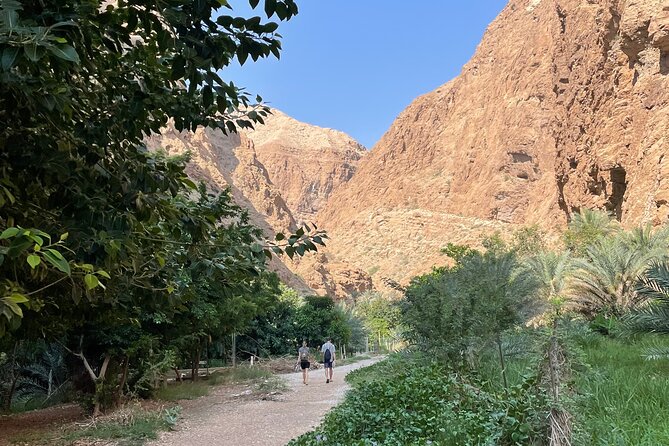 Full Day Private Tour to Wadi Shab and Bimmah Sinkhole - Reviews and Feedback