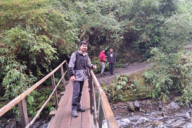 Full Day Private Tour to Waterfalls and Llanquihue Lake Route - Included in the Tour