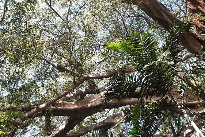 Full-Day Private Tour to Yakel Village, Waterfall and Mt Yasur Volcano - Key Points