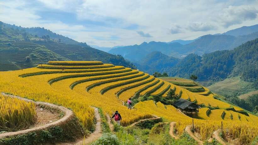 Full Day Private Trekking Mu Cang Chai - Important Information for Participants