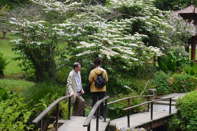 Full Day Private Wicklow Tour - Cancellation Policy and Support