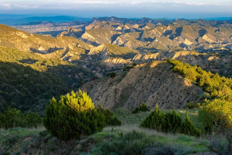 Full-day Private Wilderness tour in Vashlovani National Park - A Deep Dive into the Vashlovani Experience