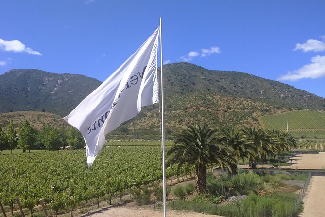 Full Day Private Wine Tour Casablanca Valley From Santiago - Viña Casas Del Bosque
