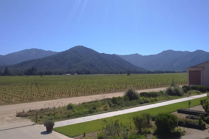 Full Day Private Wine Tour - Tour Experience