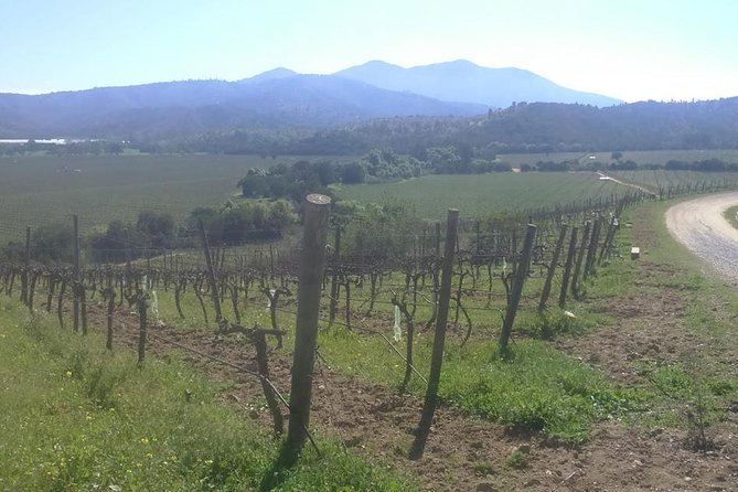 Full Day Private Wine Tour - Logistics