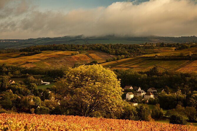 Full-Day Private Wine Tour in Côte de Beaune - Discover the Burgundy Charm with a Full-Day Private Wine Tour in Côte de Beaune