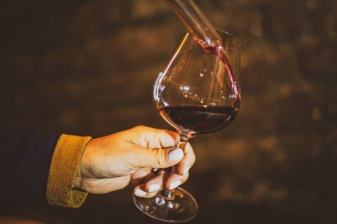 Full-Day Private Wine Tour in Côte de Beaune - An In-Depth Look at the Côte de Beaune Private Wine Experience