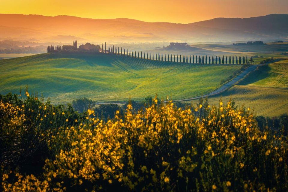 Full-Day Private Wine Tour in Montalcino - Recap