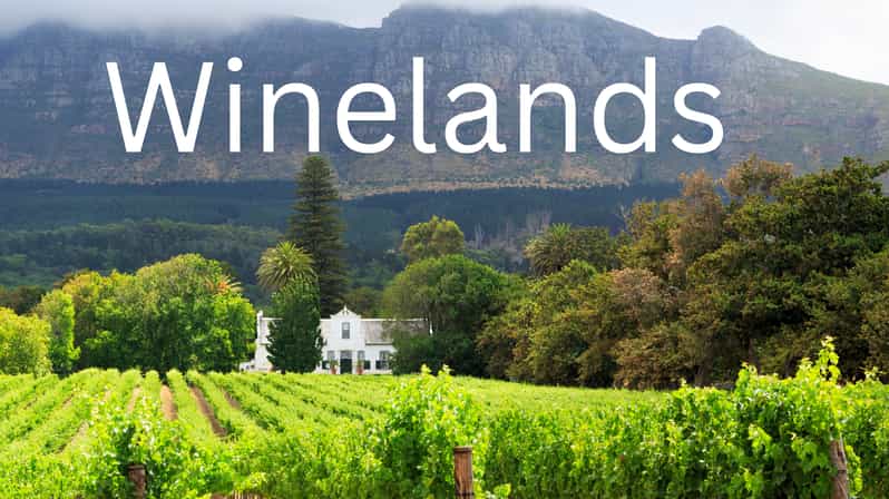 Full Day Private Winelands Tour - Highlights of the Itinerary