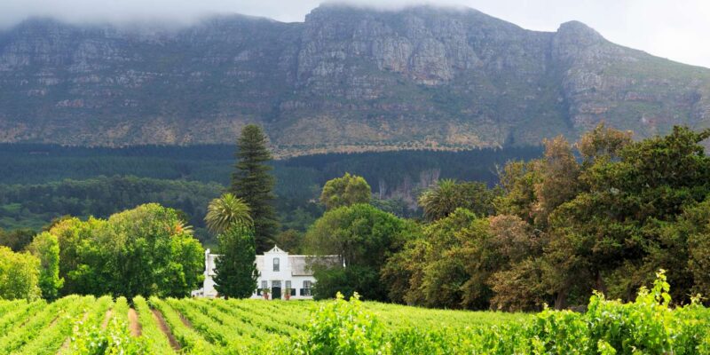 Full Day Private Winelands Tour - Stellenbosch Tour Culmination