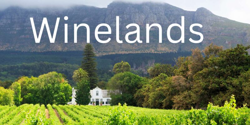 Full Day Private Winelands Tour - Booking Information and Details