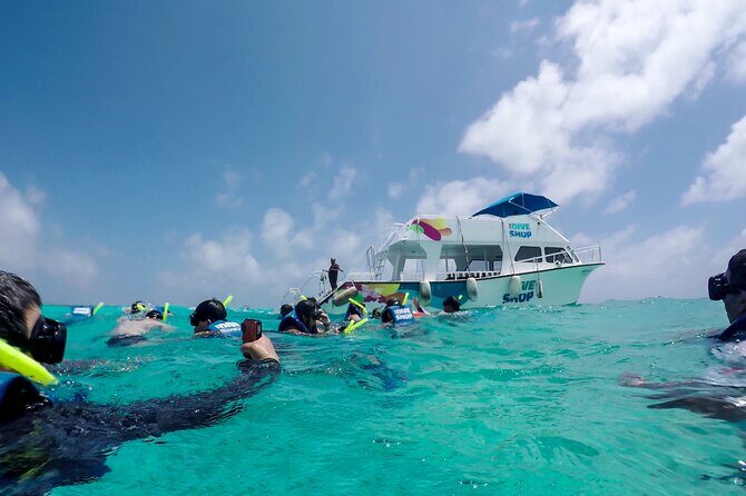 Full-Day Reef Snorkeling in Cozumel from Cancun with Lunch - An In-Depth Look at What You Can Expect