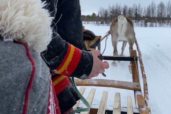 Full-Day Reindeer Tour With Pickup in Kiruna - Clothing Provided