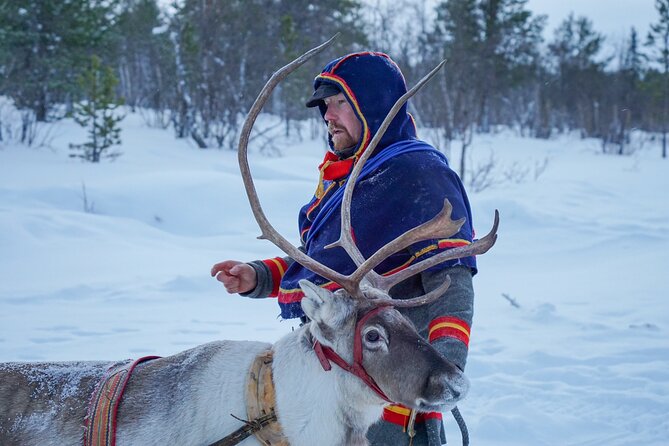 Full-Day Reindeer Tour With Pickup in Kiruna - Pricing and Cancellation