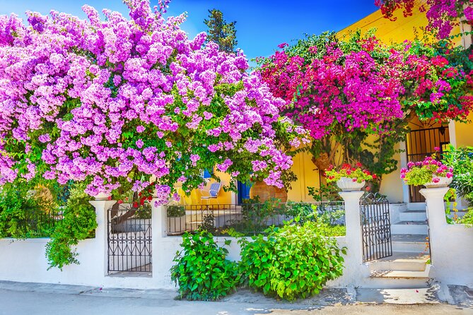 Full Day Rhodes Island Tour for First Time Visitors - Customer Reviews