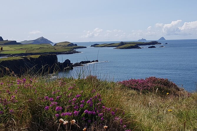 Full-Day Ring of Kerry Tour From Killarney - Tour Details