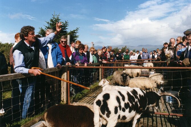 Full-Day Ring of Kerry Tour From Killarney - Pricing