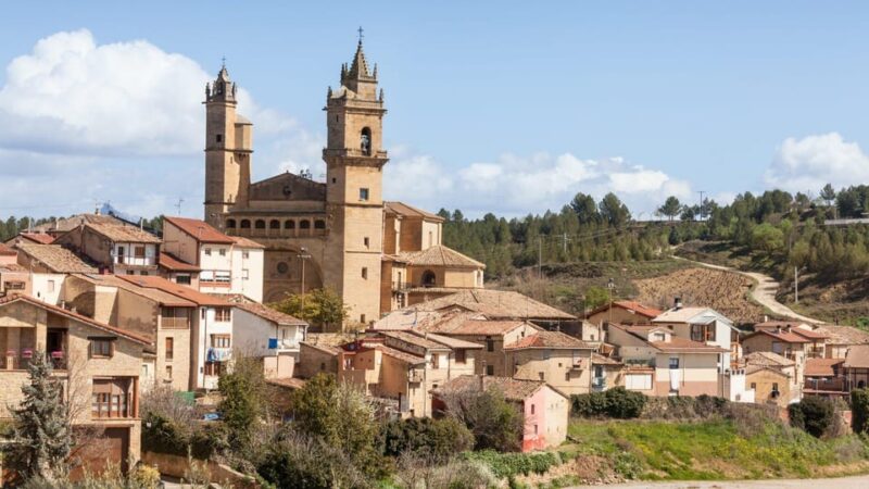 Full-Day Rioja Wineries Tour From Madrid - Duration and Pricing