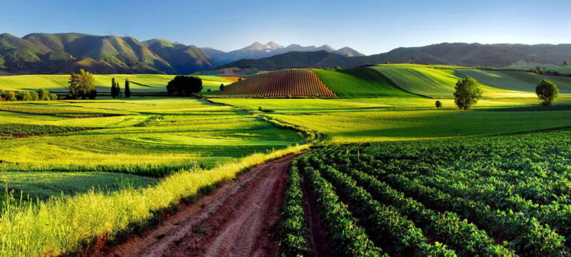 Full-Day Rioja Wineries Tour From Madrid - Language and Group Size