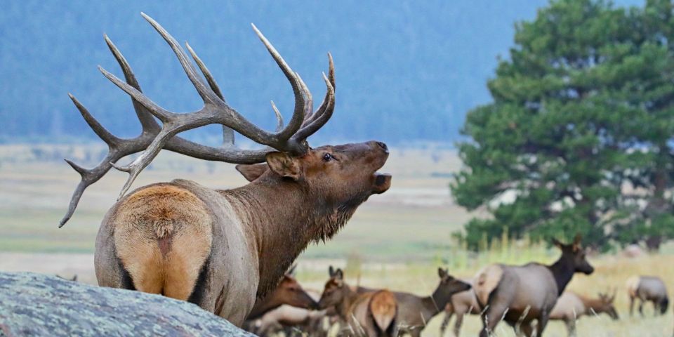 Full-Day RMNP Over the Top Tour - RMNPhotographer - Itinerary Highlights