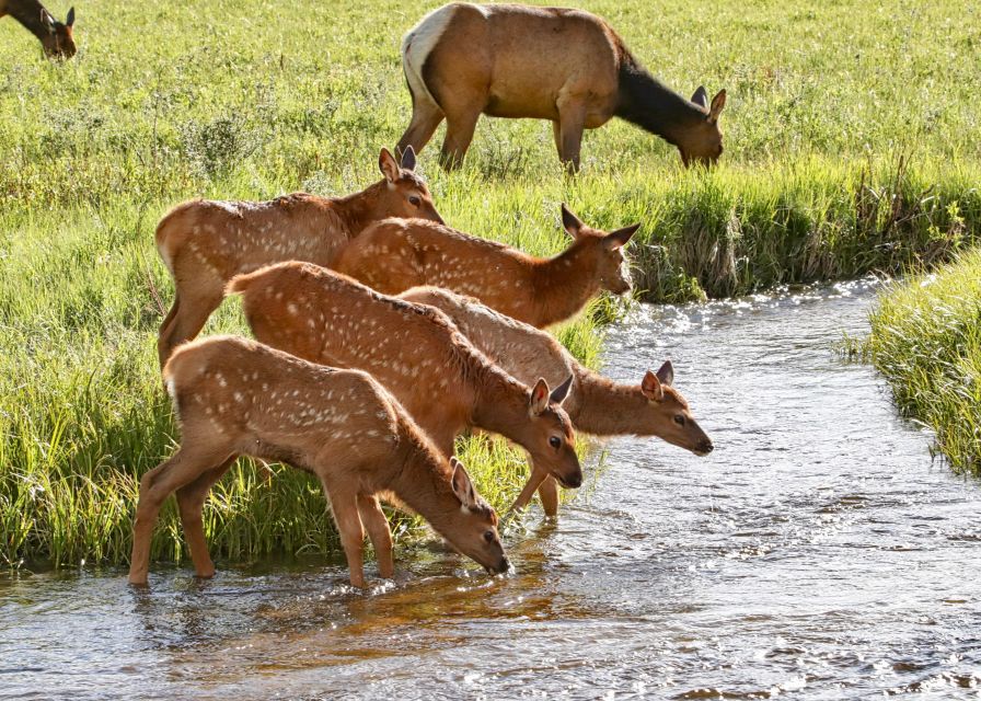 Full-Day RMNP Over the Top Tour - RMNPhotographer - Continental Divide Crossing