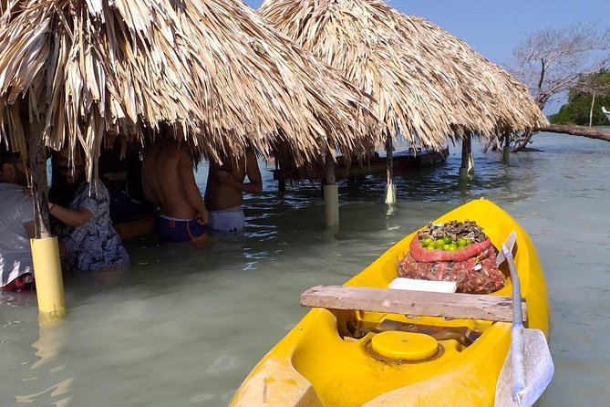 Full Day Rosario Islands Agua Azul Cholon Playa Blanca - Included and Excluded Services