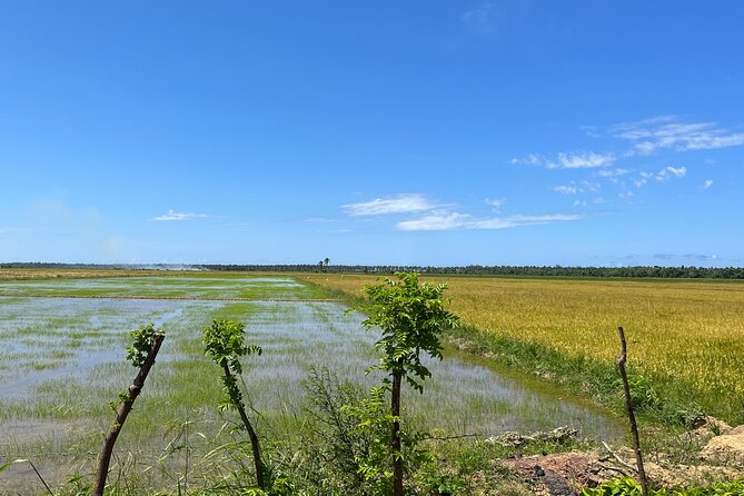 Full Day Safari Experience and Buggies From Punta Cana - ATV Ride to Beach