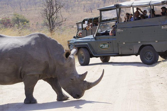 Full Day Safari in the Kruger National Park From Hazyview - Dress Code and Accessibility