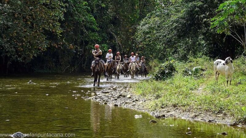 Full-Day Safari Outdoor Adventure in Punta Cana - What You’ll See and Do: A Well-Balanced Itinerary