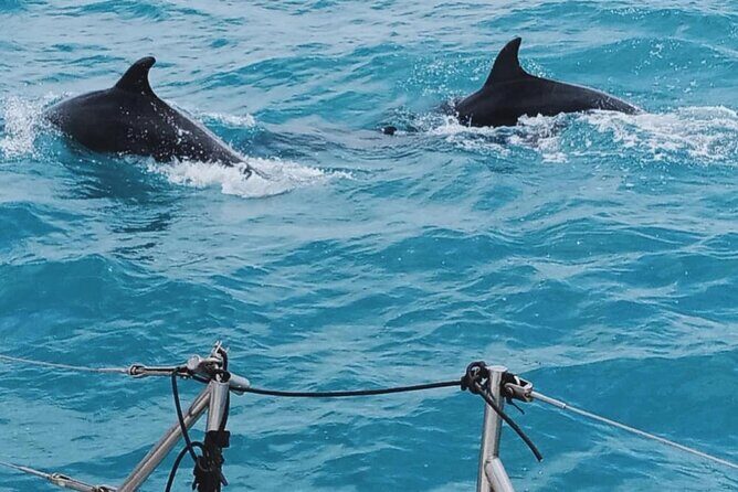 Full Day Sailing Tour Catania-Acitrezza - Who Should Consider This Tour?